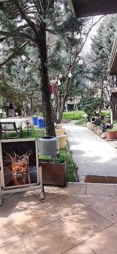 Yorum fotoğrafı 9