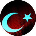 Ayşenur Sari