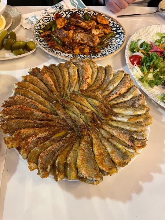 Yorum fotoğrafı 3
