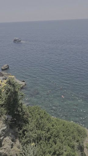 Fotoğraf 17