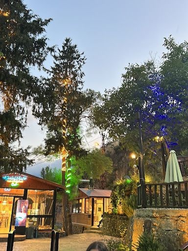 Yorum fotoğrafı 3