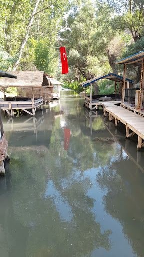 Yorum fotoğrafı 3