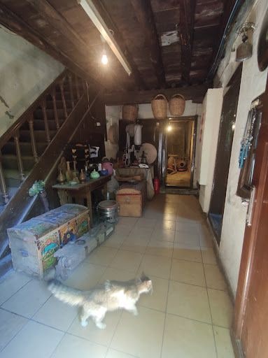 Yorum fotoğrafı 8
