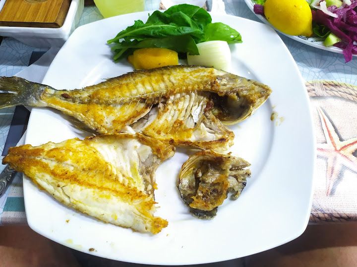 Fotoğraf 13