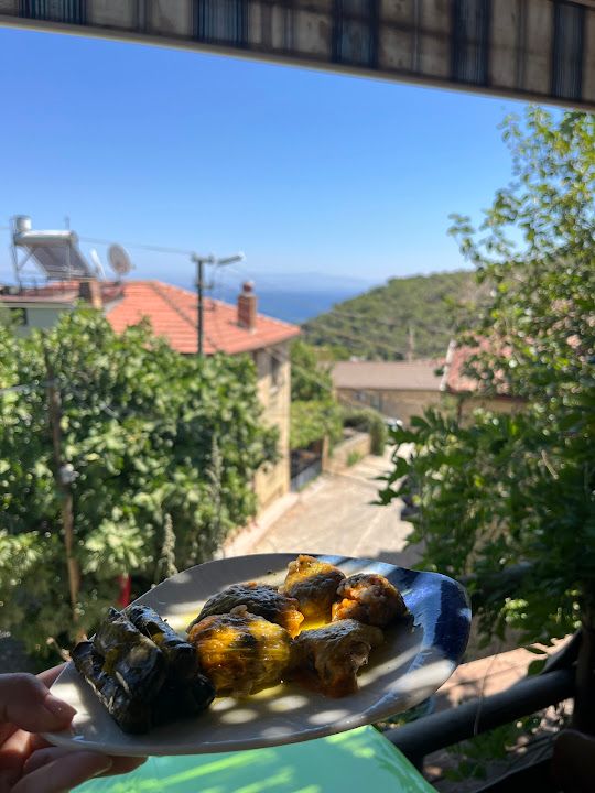 Yorum fotoğrafı 2