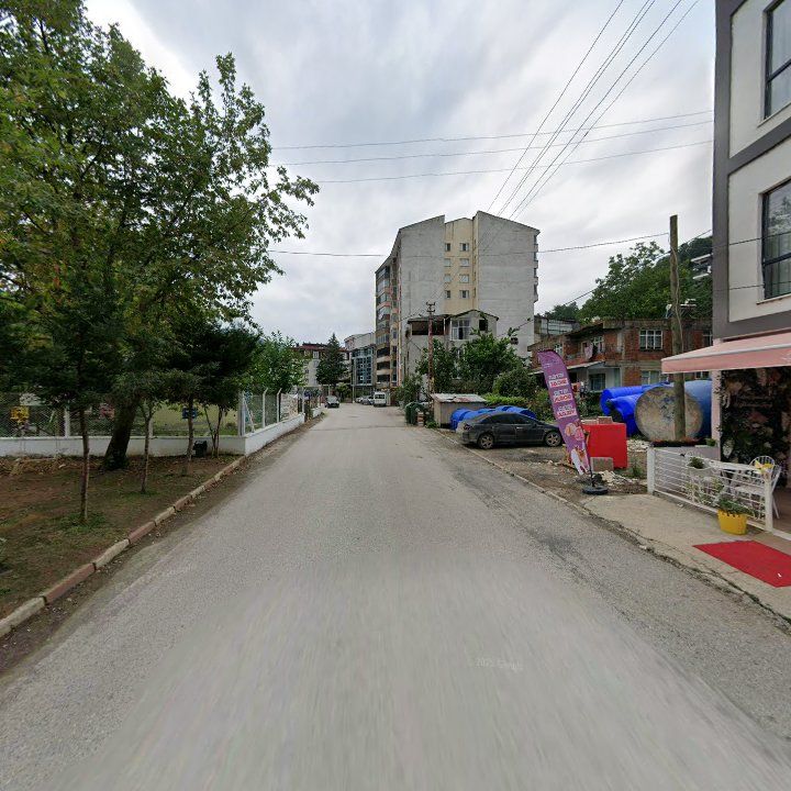 Fotoğraf 10
