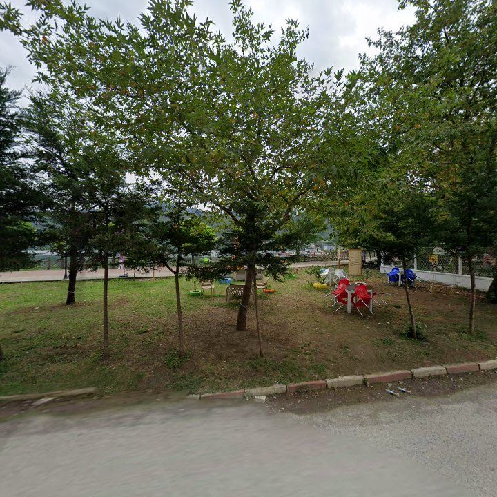 Fotoğraf 9