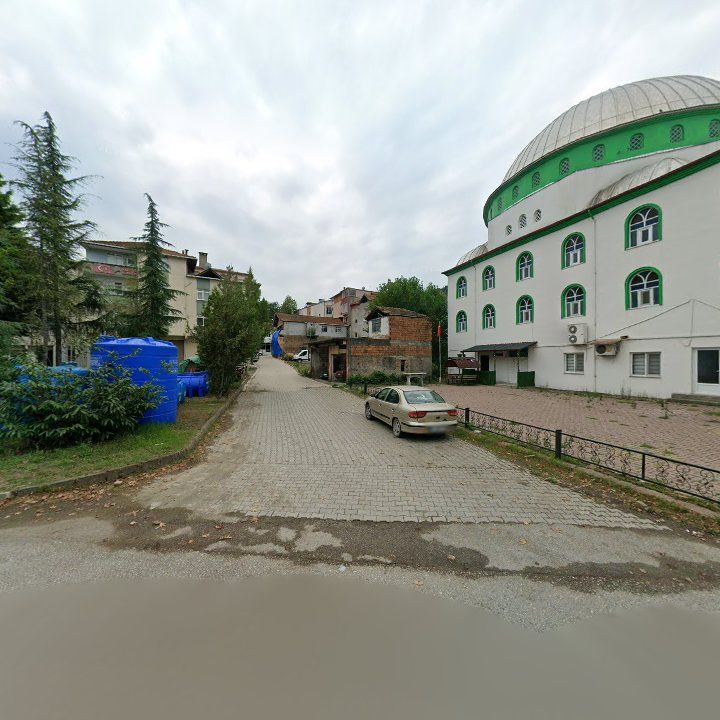 Fotoğraf 7