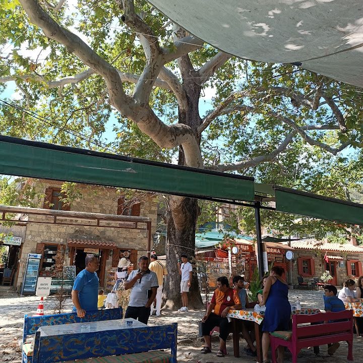 Çınarlı Çay Bahçesi