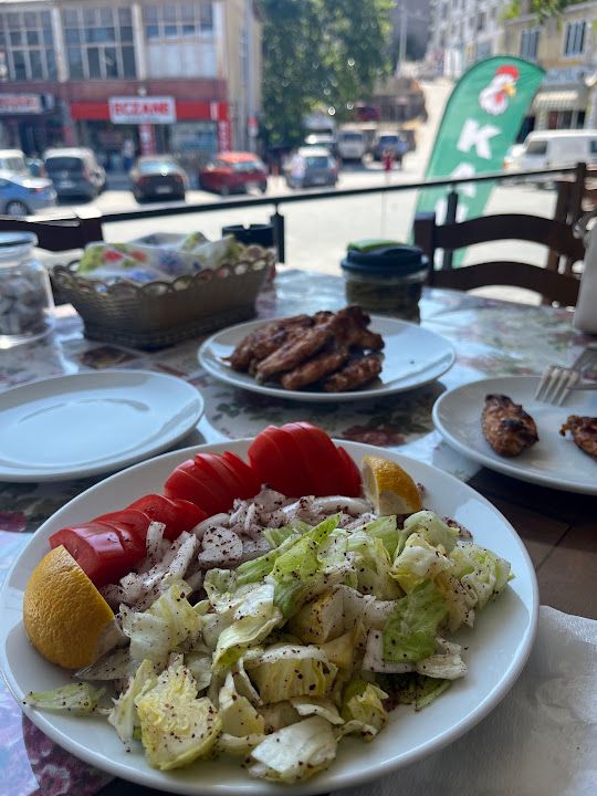 EGE KANATÇISI