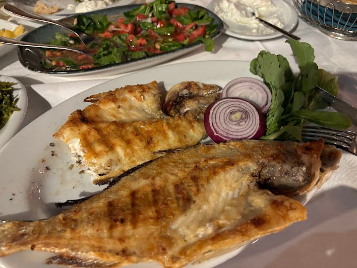 Fotoğraf 35
