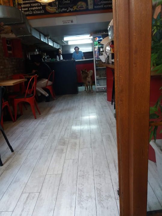 Yorum fotoğrafı 1