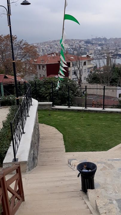 Fotoğraf 41