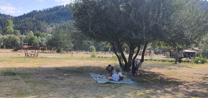 Yorum fotoğrafı 4