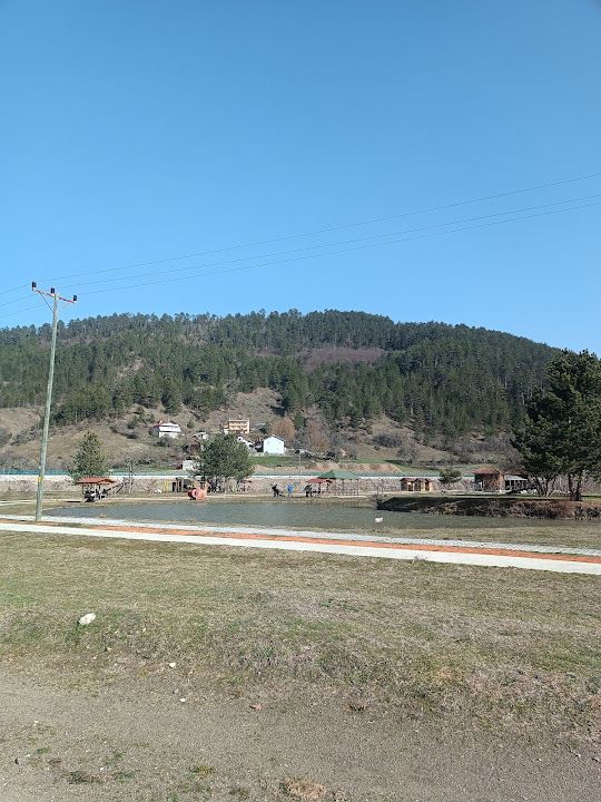 Yorum fotoğrafı 3