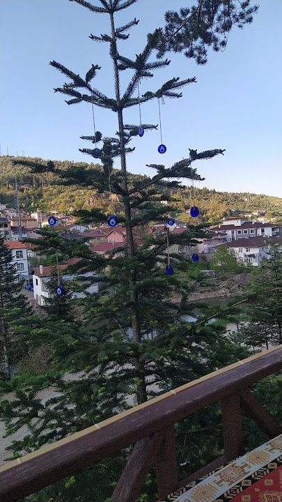Yorum fotoğrafı 3