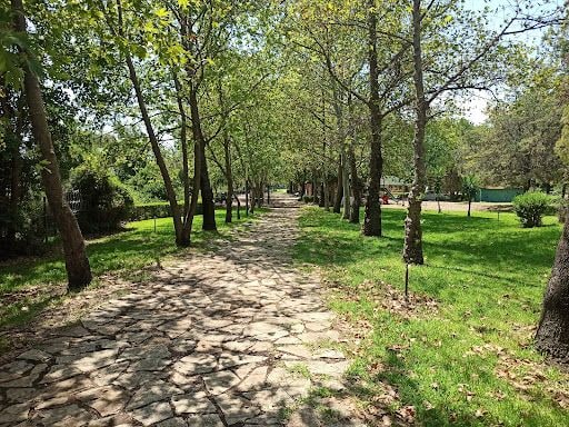 Fotoğraf 21