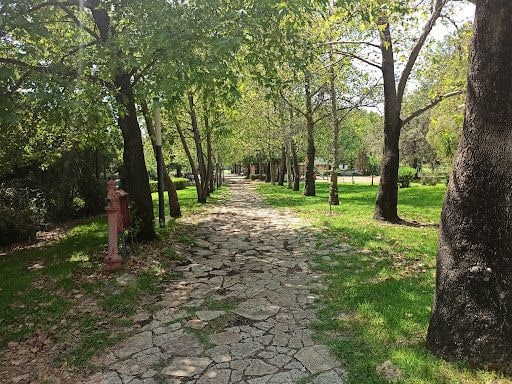 Fotoğraf 29