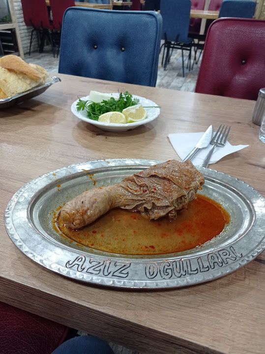 Yorum fotoğrafı 1