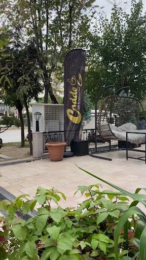Fotoğraf 13