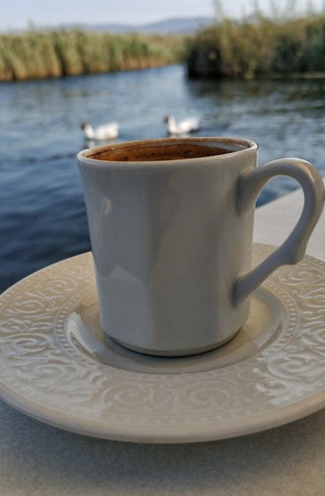 Fotoğraf 41