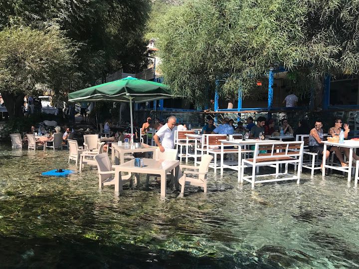 Fotoğraf 66