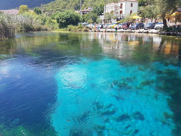 Fotoğraf 62