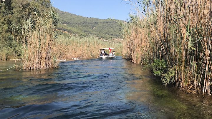 Fotoğraf 67