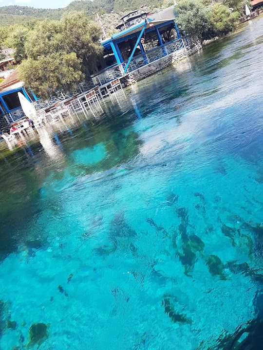 Fotoğraf 61