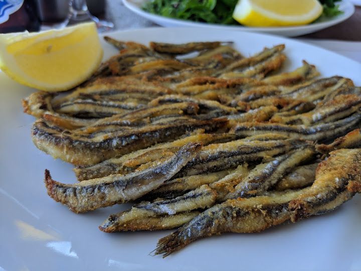 Fotoğraf 14