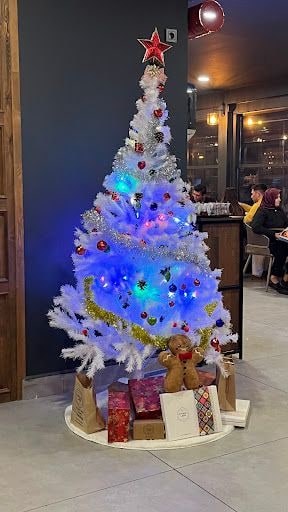 Fotoğraf 7