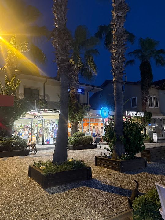 Yorum fotoğrafı 1
