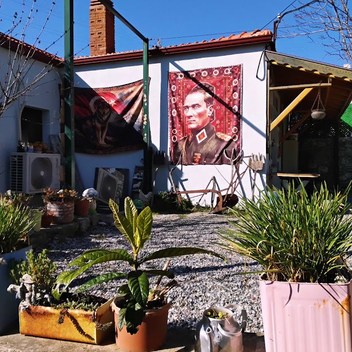 Fotoğraf 16
