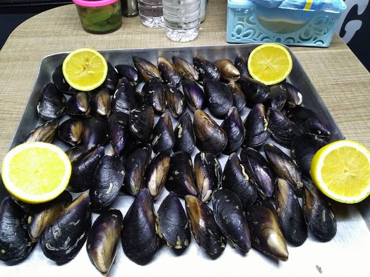 Fotoğraf 15