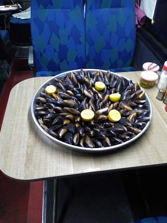 Fotoğraf 17