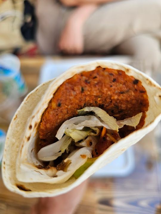 Fotoğraf 11