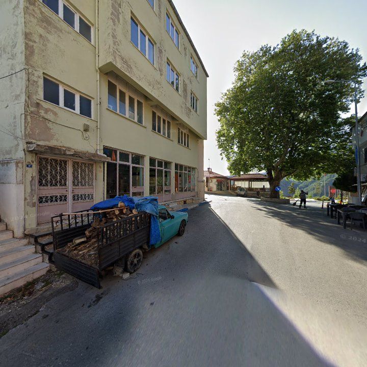 Fotoğraf 10