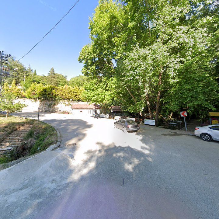 Fotoğraf 11