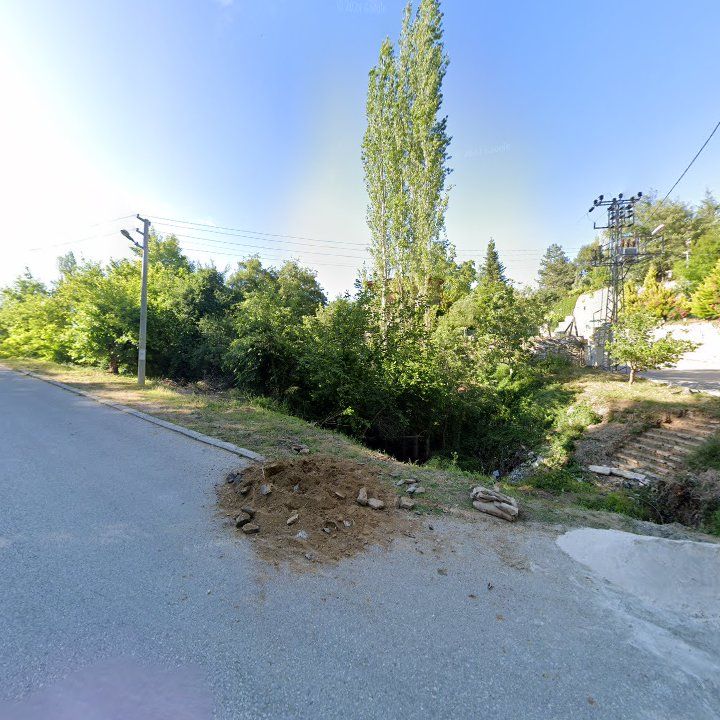 Fotoğraf 10