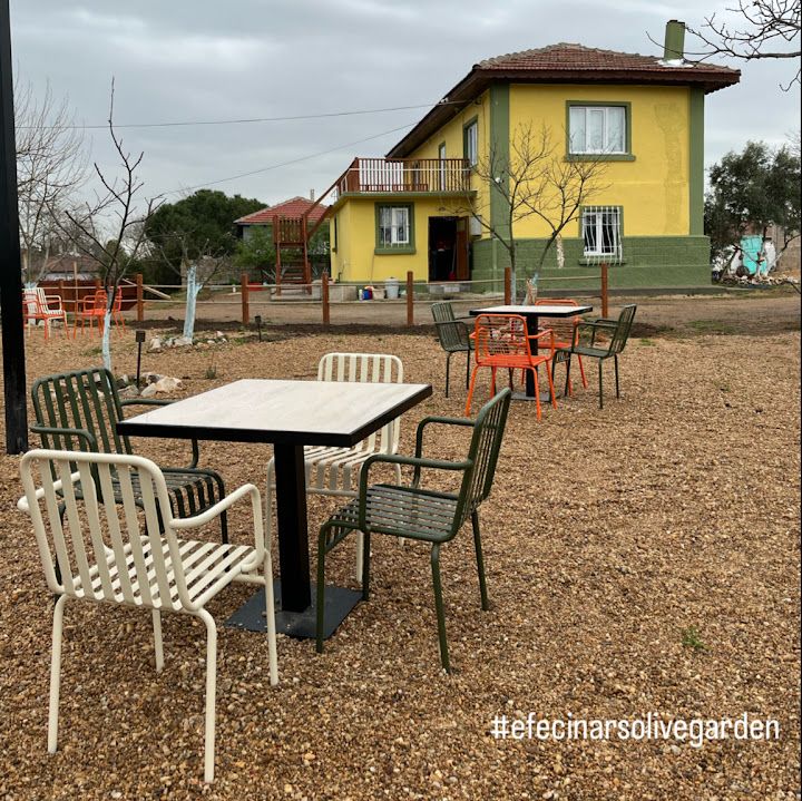 Efe&çınar’s Olivegarden