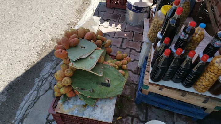 Fotoğraf 36