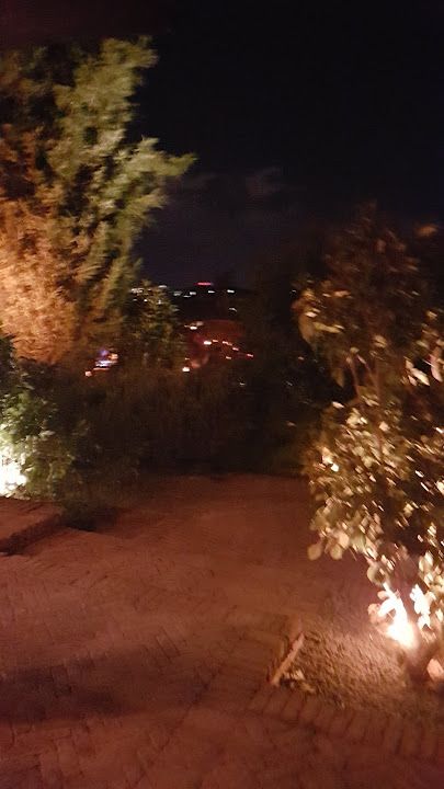 Fotoğraf 25