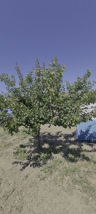 Fotoğraf 28