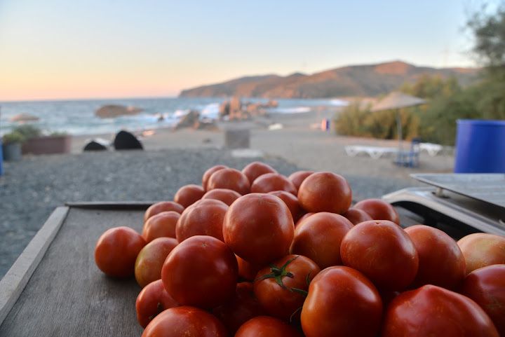 Fotoğraf 32