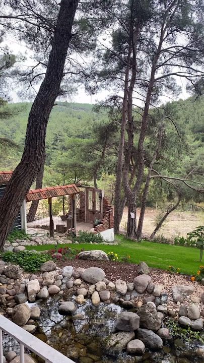 Fotoğraf 31