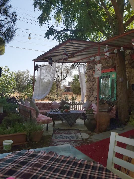 Yorum fotoğrafı 3