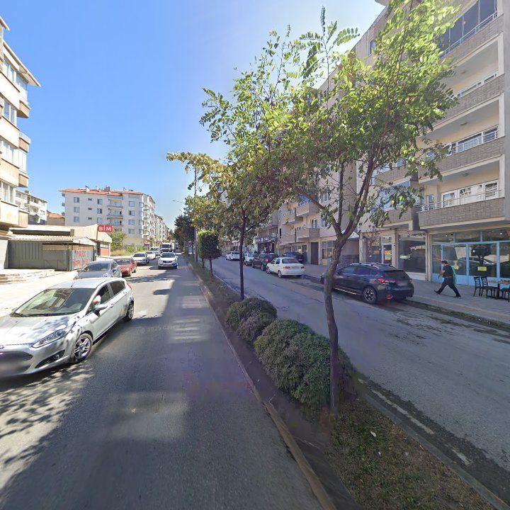 Fotoğraf 10