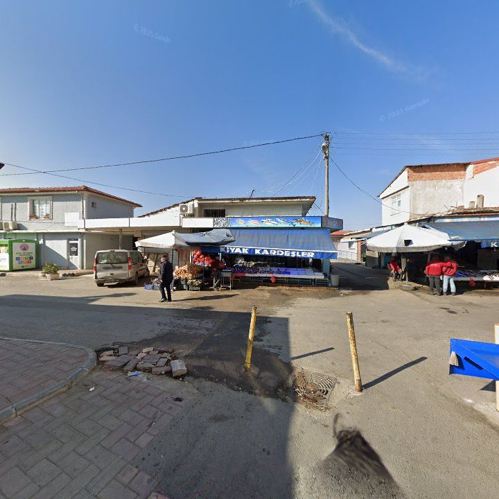 Fotoğraf 8