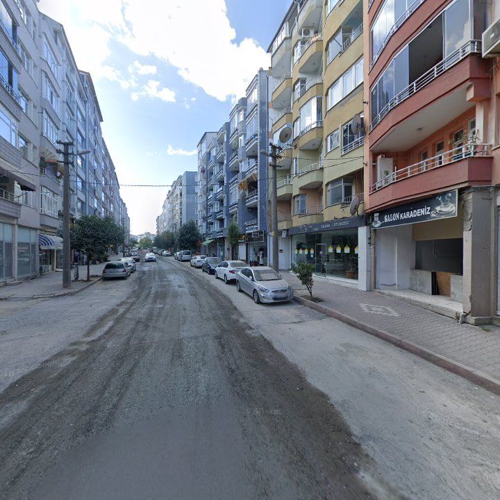 Fotoğraf 10