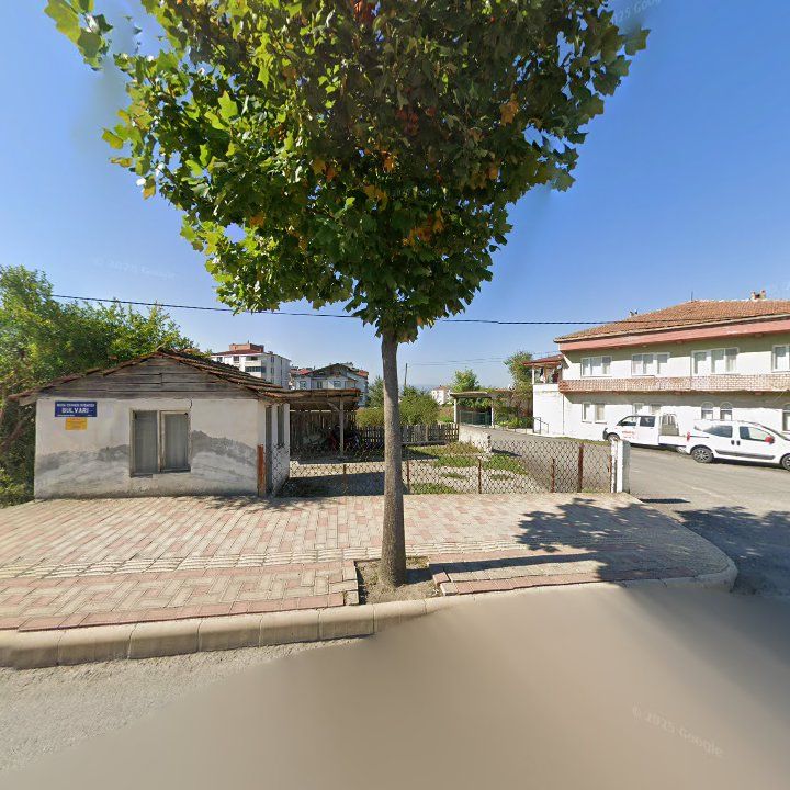 Fotoğraf 2